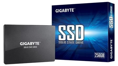 Gigabyte SSD - 256GB SSD disk; GP-GSTFS31256GTND